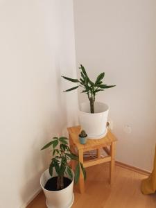 Fotografie z fotogalerie ubytování Bol Apartment Keka v destinaci Bol