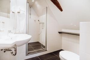 a white bathroom with a shower and a toilet at Hotel Frauensteiner Hof in Frauenstein