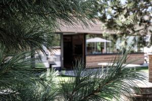 Vonkajšia záhrada v ubytovaní Die Waldruhe