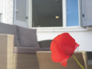 Gallery image of Medusa room apartment in Porto Cesareo +56 photos
