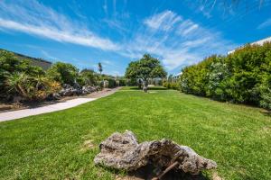 a field of grass with a tree stump in the middle at B&B Le Dune - Self Check in in Lascari