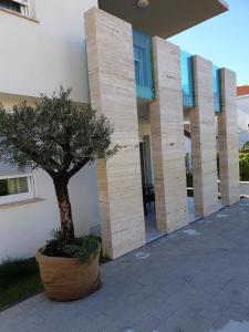 Gallery image of Apartments 4you in Vir