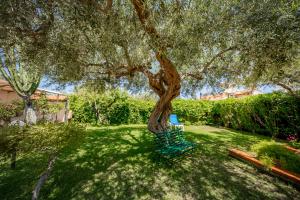 a tree in a yard with a blue bench under it at Hotel Baia Del Capitano in Cefalù