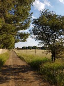 a dirt road with trees on the side of a field at CHEETAH MANOR #2 in Bloemfontein