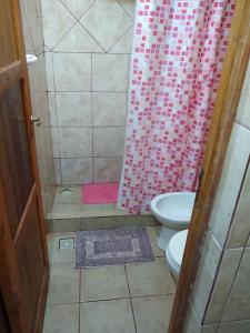 a bathroom with a toilet and a shower curtain at Cedros in Puerto Iguazú