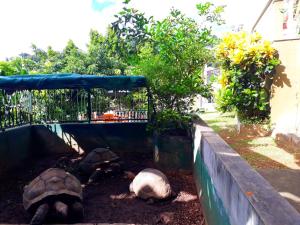 Fotografie z fotogalerie ubytování Hibiscus House Seychelles Self Catering v destinaci Victoria