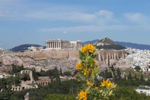 einen Blick auf die Akropolis von Athenen mit einer Blume in der Unterkunft Cozy studio 5mins walk from Acropolis museum in Athen
