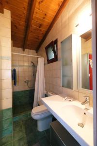 a bathroom with a sink and a toilet and a shower at Limnos Stone House in Kalliópi