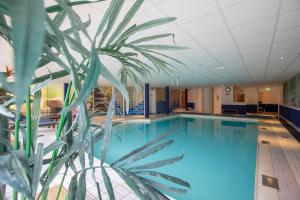 a large swimming pool with a palm tree in the foreground at Fletcher Hotel-Restaurant Wolfheze in Wolfheze