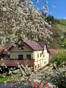 サリシュテにあるPensiunea Domnescuの花木の家