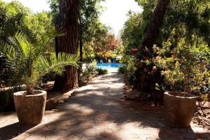 Κήπος έξω από το Akivillas Sesimbra Teltale