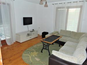 a living room with a couch and a tv at Apartment Mehi in Pazarić