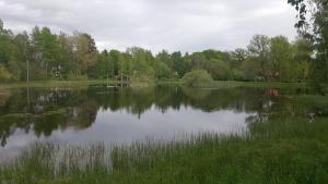 um grande lago com árvores ao fundo em Sollyckan em Knivsta