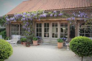 a conservatory with purple flowers on a house at Amberhoeve in Schorisse