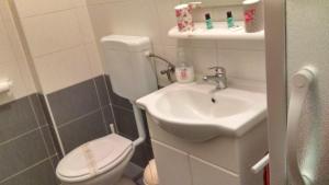 ein kleines Badezimmer mit Toilette und Waschbecken in der Unterkunft Apartman Snježana in Fažana + 83 Fotos