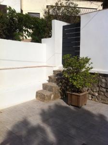 a tree in a wooden box next to a staircase at Gîte Polema in Marseille