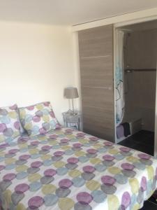a bedroom with a bed and a walk in shower at Gîte Polema in Marseille