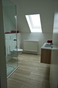 a bathroom with a toilet and a sink and a skylight at Altes Kurhaus Landhotel in Trabelsdorf +63 photos