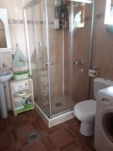 ein Bad mit einer Dusche, einem WC und einem Waschbecken in der Unterkunft Lodge House Tara in Kolašin