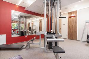 a room with a gym with a mirror at Willa Kłodzko-Zacisze - Sauna - Parking - Siłownia - Komnata Solna in Kłodzko