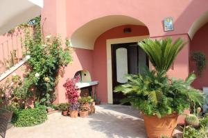 A garden outside A Corte