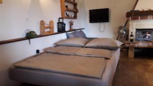 uma sala de estar com uma cama e uma lareira em Weekend House Petar em Lusnić