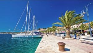 a harbor with boats in the water and a palm tree at LANELU apartman in Rogoznica