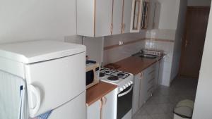 Il comprend une petite cuisine équipée d'une cuisinière et d'un réfrigérateur. dans l'établissement Apartment Hrgić Vir, à Vir