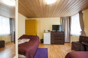 a living room with a couch and a tv in it at Skruzdynes 11 in Nida