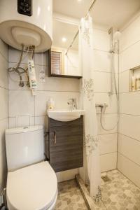 a bathroom with a toilet and a sink and a shower at Skruzdynes 11 in Nida +30 photos