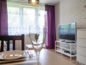Televízia a/alebo spoločenská miestnosť v ubytovaní Apartament 24 ul.Proletariacka 2A centrum