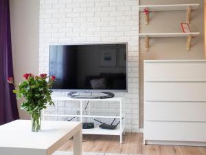 Televízia a/alebo spoločenská miestnosť v ubytovaní Apartament 24 ul.Proletariacka 2A centrum