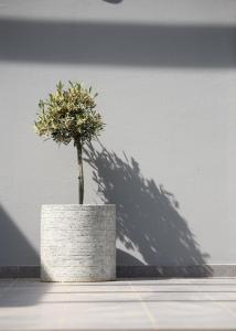 Fotografie z fotogalerie ubytování Kochyli Garden Studios v destinaci Nea Plagia