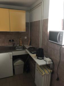 una pequeña cocina con fregadero y microondas en Penzion Tereza en Kraslice