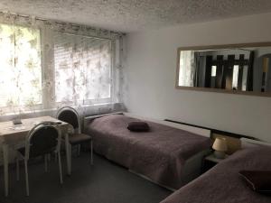 1 Schlafzimmer mit 2 Betten, einem Tisch und einem Fenster in der Unterkunft Penzion Tereza in Kraslice