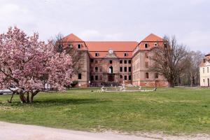 a large brick building with a tree in front of it at Pałac Brody in Brody