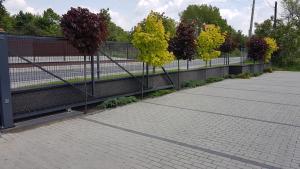 Zdjęcie z galerii obiektu Apartament Angelo w mieście Sosnowiec