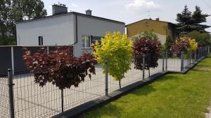 Ogród w obiekcie Apartament Angelo