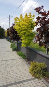 Zdjęcie z galerii obiektu Apartament Angelo w mieście Sosnowiec