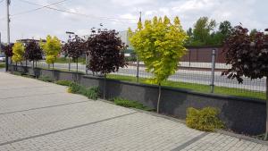 Zdjęcie z galerii obiektu Apartament Angelo w mieście Sosnowiec