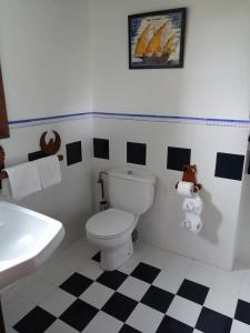 a bathroom with a white toilet and a sink at Agroturismo Iturbe in Axpe de Busturia