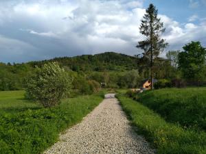 Przyroda w pobliżu tego domu w stylu alpejskim