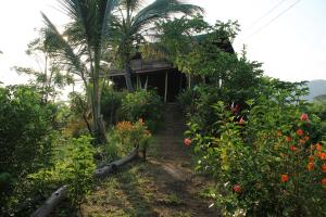 a house with a path leading to a garden at Posada la Ofelia in El Zaino