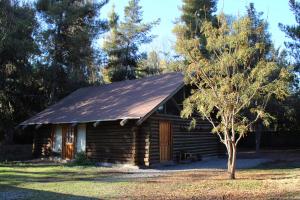 una cabaña de madera con un árbol delante en Cabañas Rústicas, en Estación Colina