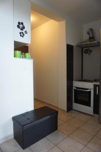Kuchyň nebo kuchyňský kout v ubytování Apartman ZTC