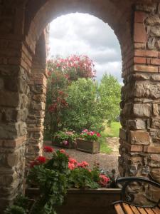 Zahrada ubytování Agriturismo Podere Gozzuto
