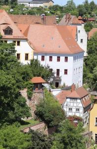un grupo de edificios en una colina con árboles en Domblick an der Freiheit, en Meißen
