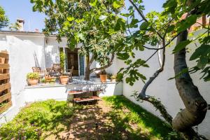 En have udenfor Apartments Terra