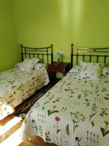 two beds in a bedroom with green walls at La Clinica in Ballota