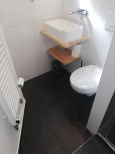 a bathroom with a sink and a toilet at Haus Andrea in Himmelpfort